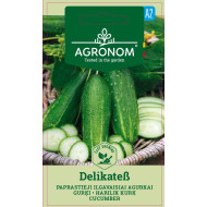 PAPRASTIEJI ILGAVAISIAI AGURKAI DELIKATES