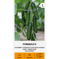 AGURKAI PAPRASTIEJI ILGAVAISIAI FORMULE H