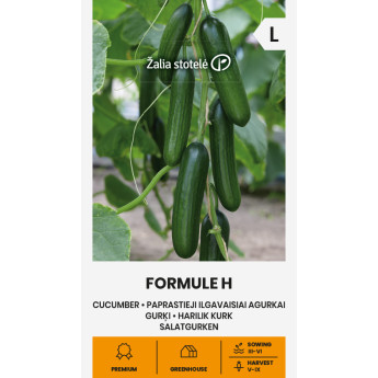 AGURKAI PAPRASTIEJI ILGAVAISIAI FORMULE H