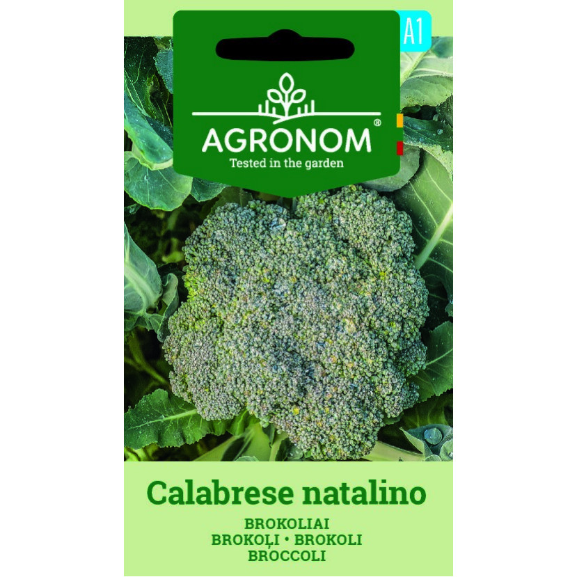 BROKOLIAI CALABRESE NATALINO BROKOLIAI CALABRESE NATALINO