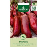 RAUDONIEJI BUROKĖLIAI CYLINDRA