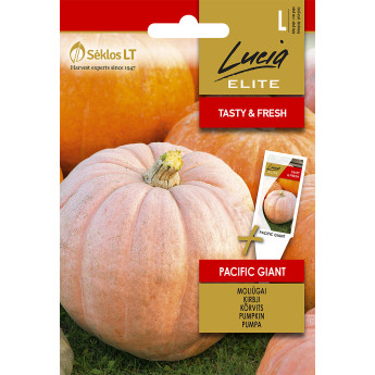 MOLIŪGAI PACIFIC GIANT