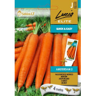 MORKOS VALGOMOSIOS AMSTERDAM 2