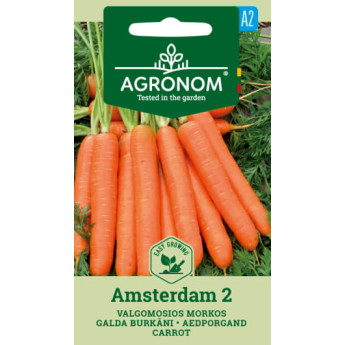 VALGOMOSIOS MORKOS AMSTERDAM 2