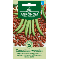 ŽEMAŪGĖS DARŽINĖS PUPELĖS CANADIAN WONDER