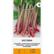 DARŽOVINIAI RABARBARAI VICTORIA