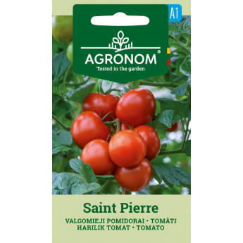 VALGOMIEJI POMIDORAI SAINT PIERRE