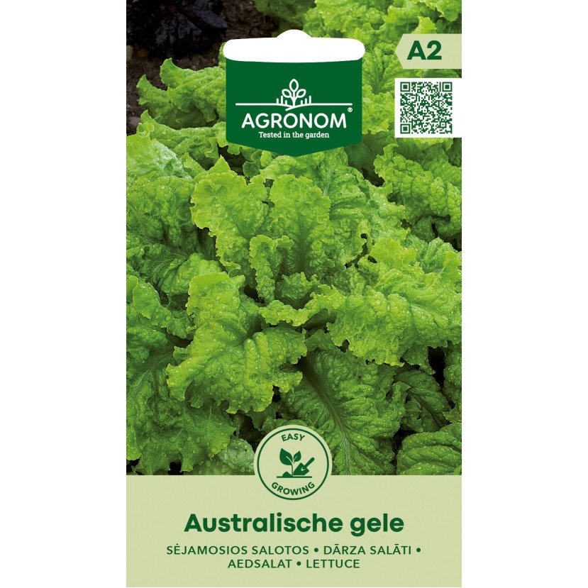 SĖJAMOSIOS SALOTOS AUSTRALISCHE GELE SĖJAMOSIOS SALOTOS AUSTRALISCHE GELE