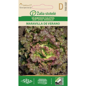 SALOTOS SĖJAMOSIOS MARAVILLA DE VERANO