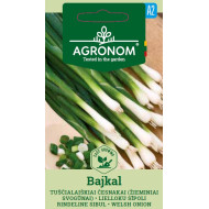 TUŠČIALAIŠKIAI ČESNAKAI – ŽIEMINIAI SVOGŪNAI BAJKAL