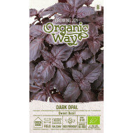 KVAPIEJI BAZILIKAI DARK OPAL