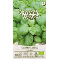 KVAPIEJI BAZILIKAI ITALIANO CLASSICO