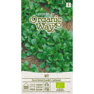 SALOTINĖS SULTENĖS VIT