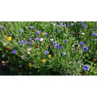 GĖLIŲ MIŠINYS BUTTERFLY