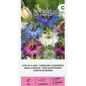 DARŽELINĖS JUODGRŪDĖS