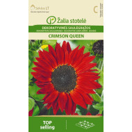 DEKORATYVINĖS SAULĖGRĄŽOS CRIMSON QUEEN