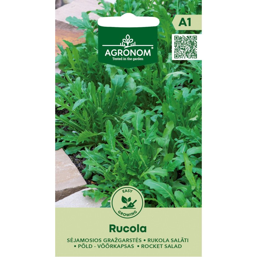 SĖJAMOSIOS GRAŽGARSTĖS RUCOLA SĖJAMOSIOS GRAŽGARSTĖS RUCOLA