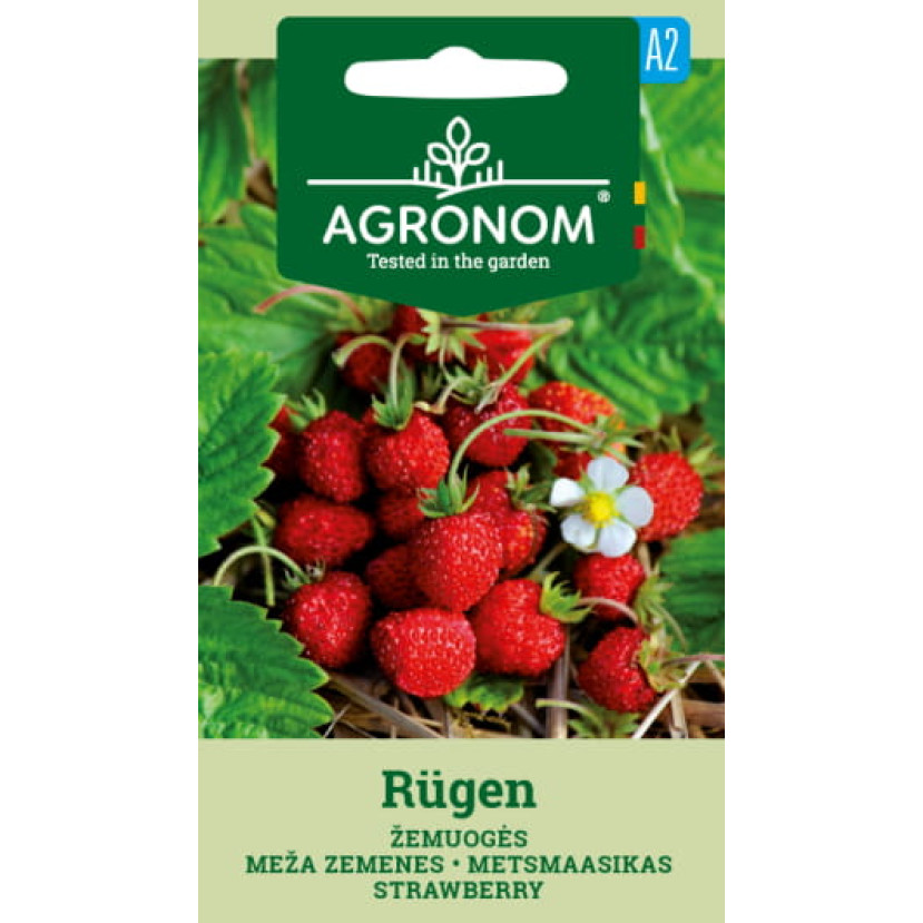 ŽEMUOGĖS RUGEN