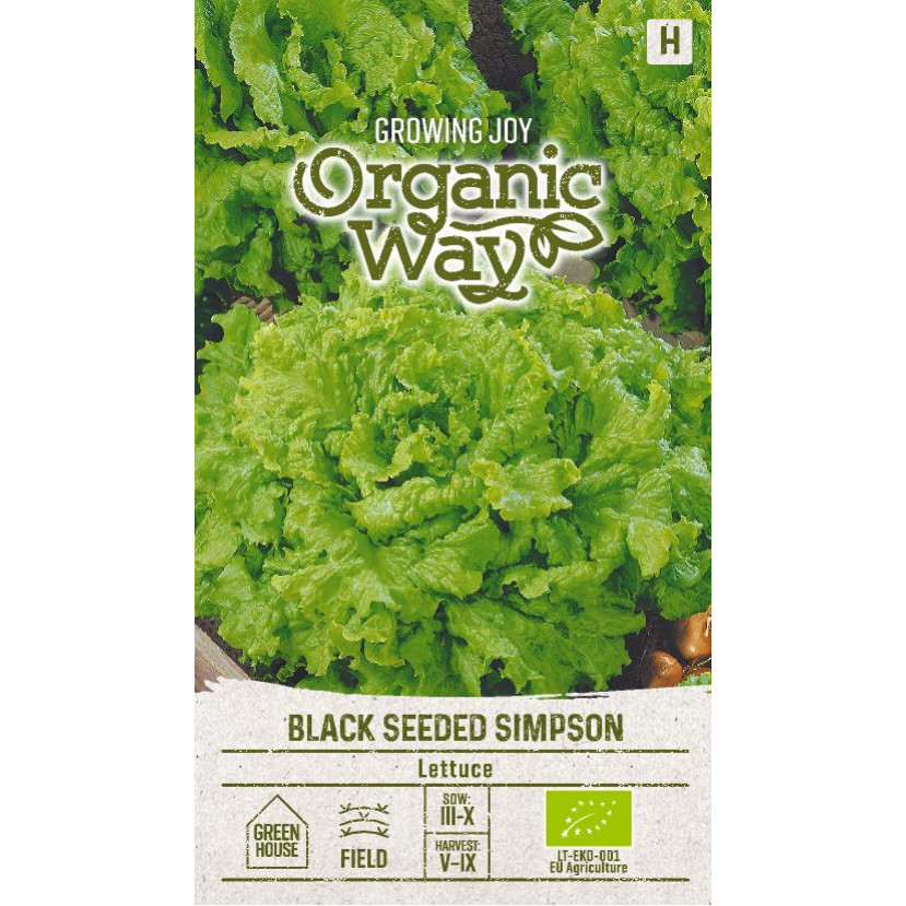 SALOTOS SĖJAMOSIOS BLACK SEEDED SIMPSON SALOTOS SĖJAMOSIOS BLACK SEEDED SIMPSON