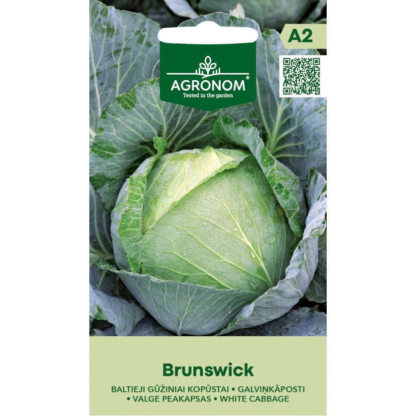 KOPŪSTAI BALTAGŪŽIAI BRUNSWICK KOPŪSTAI BALTAGŪŽIAI BRUNSWICK