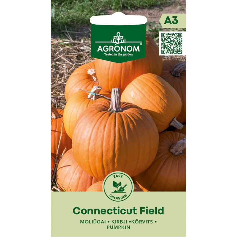 MOLIŪGAI CONNECTICUT FIELD MOLIŪGAI CONNECTICUT FIELD