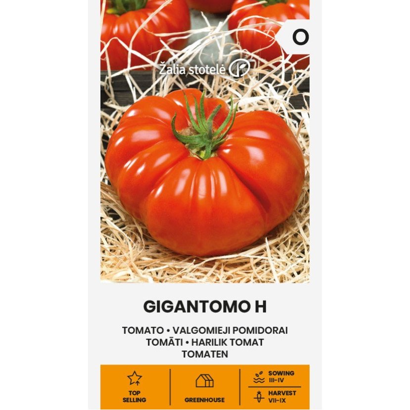 VALGOMIEJI POMIDORAI GIGANTOMO H VALGOMIEJI POMIDORAI GIGANTOMO H