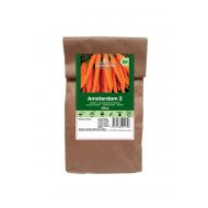 VALGOMOSIOS MORKOS AMSTERDAM 2 