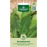 RŪGŠTYNĖS VALGOMOSIOS BROADLEAVED