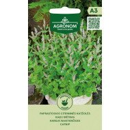 KATŽOLĖS CITRININĖS