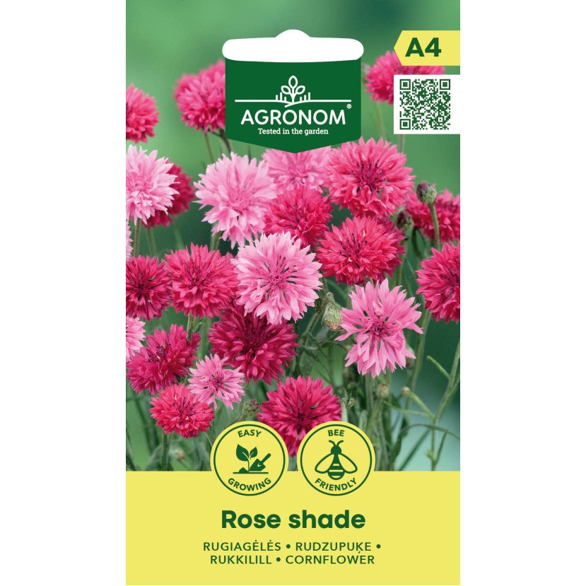 RUGIAGĖLĖS ROSE SHADE RUGIAGĖLĖS ROSE SHADE
