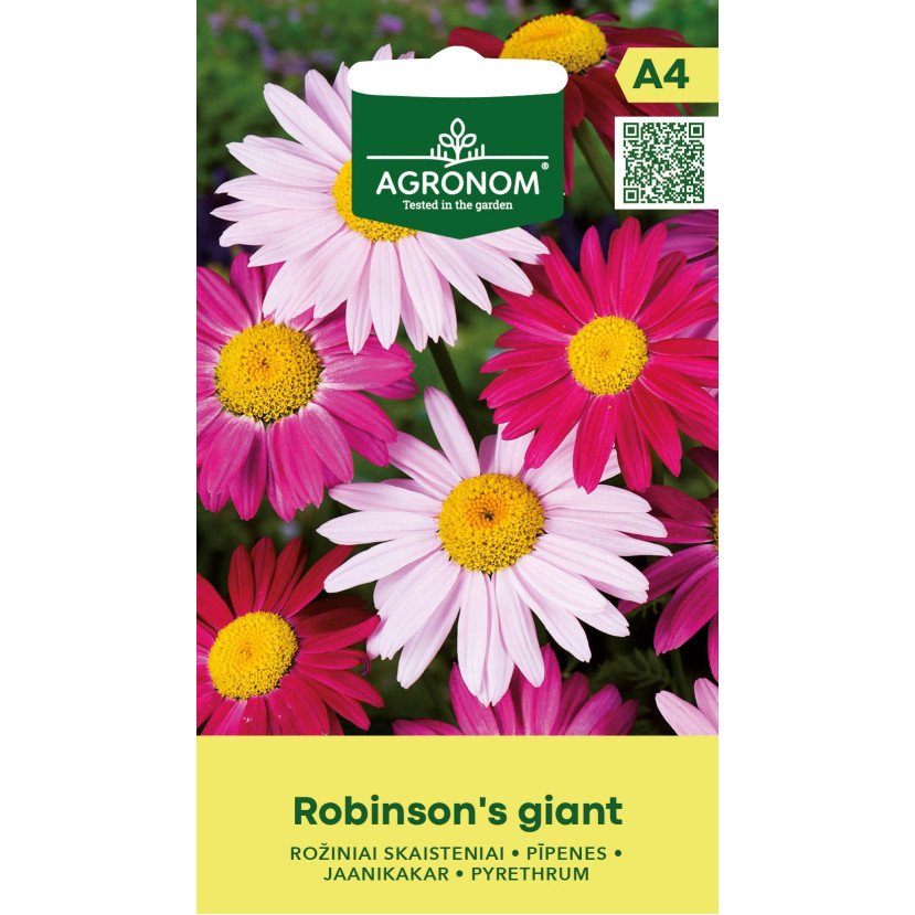 SKAISTENIAI RAUSVAŽIEDŽIAI ROBINSON'S GIANT SKAISTENIAI RAUSVAŽIEDŽIAI ROBINSON'S GIANT