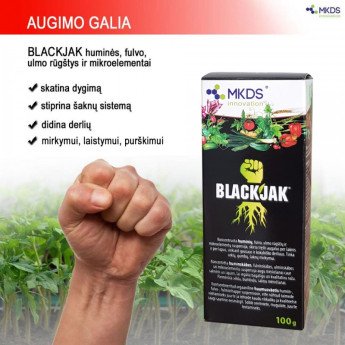 BLACKJAK HUMINĖS RŪGŠTYS ĮSIŠAKNIJIMUI, 100 ML