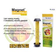 MAGNET DROSOPHILA VAISINIŲ MUSELIŲ GAUDYKLĖ, 1 VNT