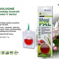 MAGIPAL NAUDINGŲ VABZDŽIŲ VILIOKLIS "MEDŽIO AUSKARIUKAI", 1 VNT