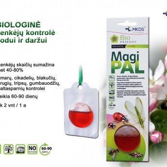 MAGIPAL NAUDINGŲ VABZDŽIŲ VILIOKLIS "MEDŽIO AUSKARIUKAI", 1 VNT