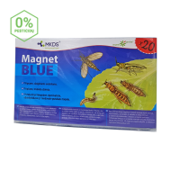 MINI MAGNET BLUE -  TRIPSŲ, DAIGINIŲ UODELIŲ GAUDYKLĖS, (20X12 CM) –20 VNT