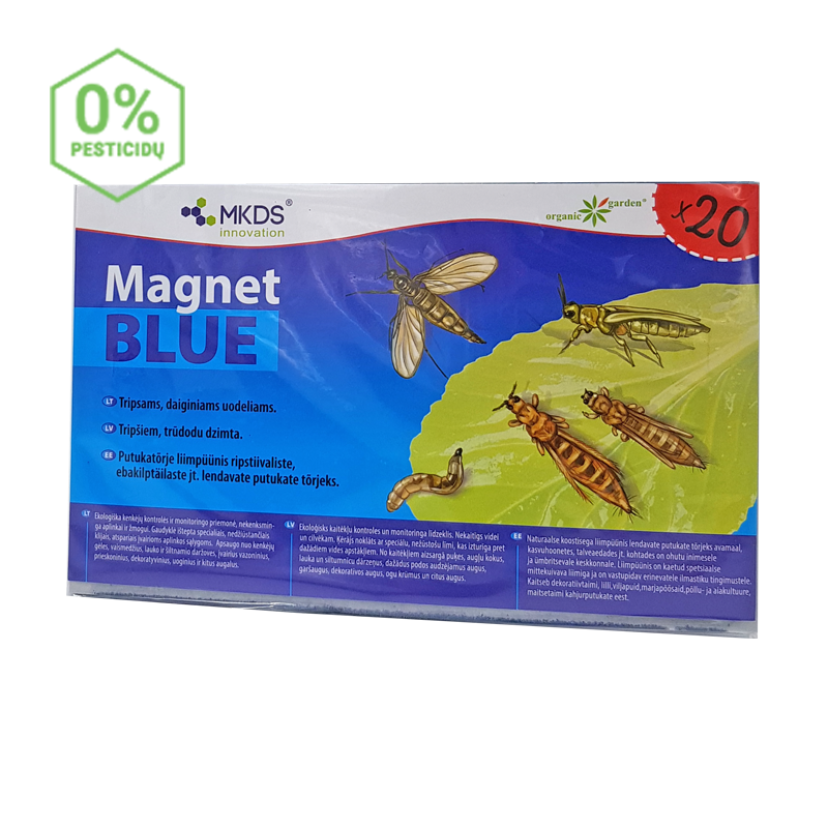 MINI MAGNET BLUE -  TRIPSŲ, DAIGINIŲ UODELIŲ GAUDYKLĖS, (20X12 CM) –20 VNT