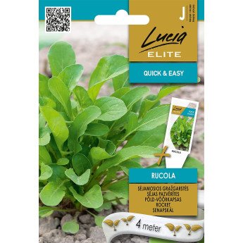 SĖJAMOSIOS GRAŽGARSTĖS RUCOLA