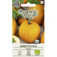 MOLIŪGAI CONNECTICUT FIELD