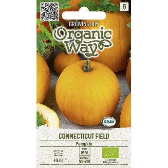 MOLIŪGAI CONNECTICUT FIELD