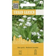 ČESNAKAI MEŠKINIAI BEAR GARLIC