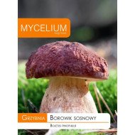 GRYBIENA PUŠYNINIS BARAVYKAS 