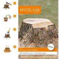 GRYBIENA KELMŲ IRIMUI IR KOMPOSTAVIMUI SKATINTI