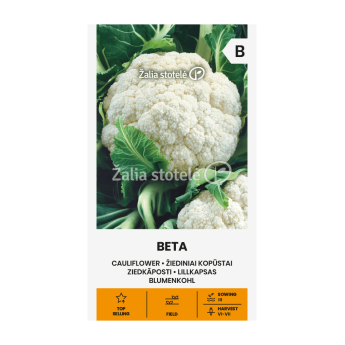 KOPŪSTAI ŽIEDINIAI BETA