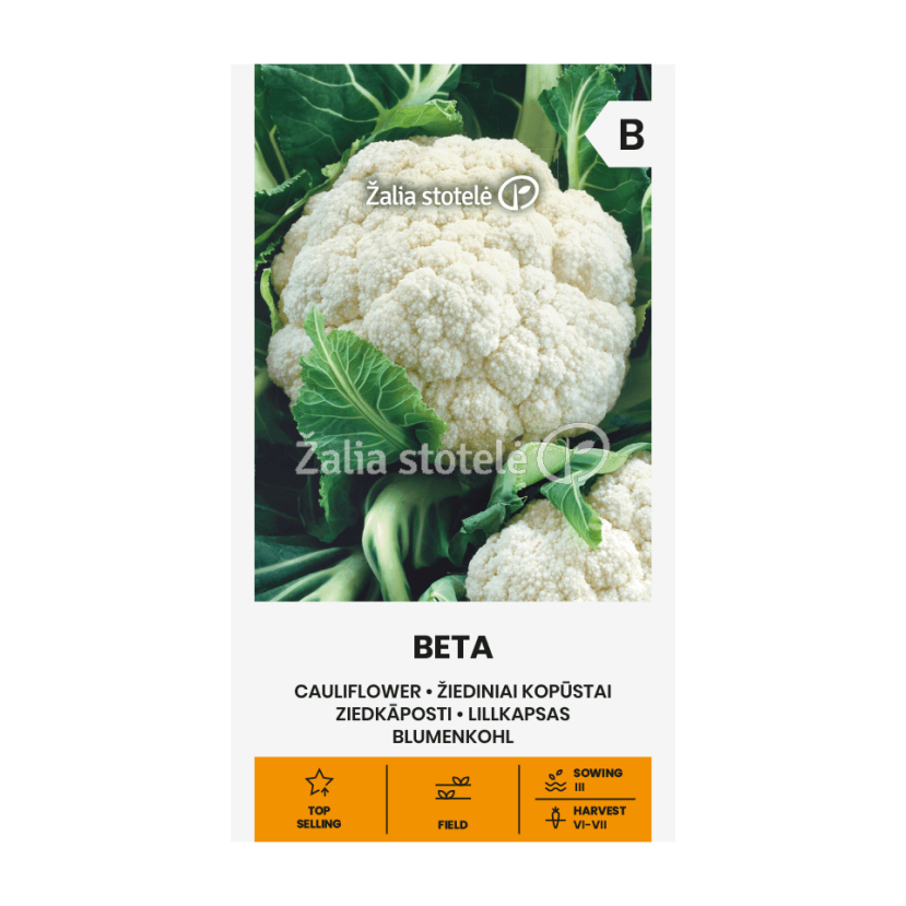 KOPŪSTAI ŽIEDINIAI BETA